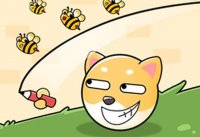Pet Rescue Adventure