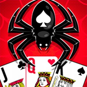 Spider Solitaire Puzzle