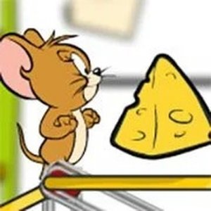 Jerry's Cheese Crossing Challenge
