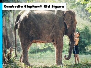 Elephant Jigsaw Puzzle Game