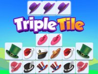 Triple Hat Match Puzzle