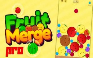 Fruit Merge Puzzle: 2048 Arcade