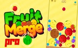 Fruit Merge Pro: Juicy Puzzle Game Online