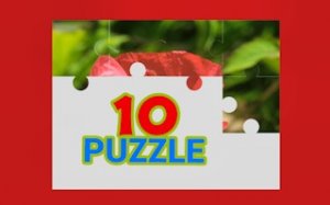 Shape Match Logic Puzzles