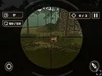 Woodland Pursuit: A Quiet Observation Game