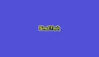Space Flash Online Game